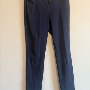 Express Stretchy Navy Pants